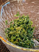 Load image into Gallery viewer, Mao Jian Green Tea 5 x 120g